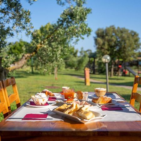 Готель Glamping Gli Etruschi Пйомбіно Екстер'єр фото